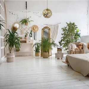 SOLD 🔥 - River Of God Lighting